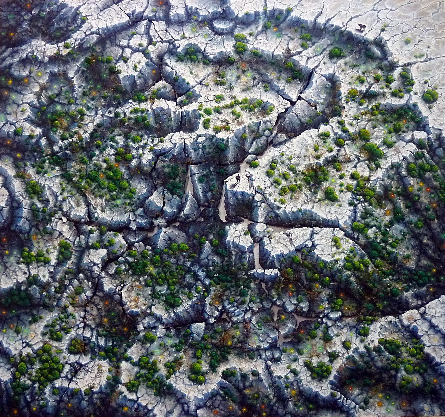 Fracti Natura I