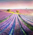 <a href='https://www.artistasdelatierra.com/obra/144770-Campos-de-perfume.html'>Campos de perfume » FRANCISCO LORENZO<br />+ más información</a>