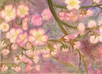 <a href='https://www.artistasdelatierra.com/obra/145028-CEREZOS-EN-FLOR.html'>CEREZOS EN FLOR » MARIA LUISA PALOMO<br />+ más información</a>