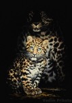 <a href='https://www.artistasdelatierra.com/obra/145993-Leopardo.html'>Leopardo » Vadim Prikota<br />+ más información</a>