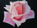 <a href='https://www.artistasdelatierra.com/obra/146098-rosa.html'>rosa » Rosana Picornell<br />+ más información</a>