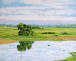 <a href='https://www.artistasdelatierra.com/obra/148176-Paisaje-Cerca-a-Tosagua.html'>Paisaje Cerca a Tosagua » Marcelo Pincay<br />+ más información</a>