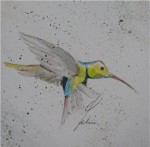 <a href='https://www.artistasdelatierra.com/obra/149081-colibri-en-vuelo.html'>colibri en vuelo » Ofelia Sanchez Rubio<br />+ más información</a>