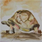 <a href='https://www.artistasdelatierra.com/obra/149086-tortuga.html'>tortuga » Ofelia Sanchez Rubio<br />+ más información</a>