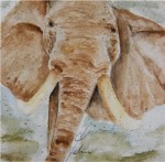 <a href='https://www.artistasdelatierra.com/obra/149088-elefante.html'>elefante » Ofelia Sanchez Rubio<br />+ más información</a>