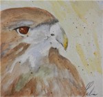 <a href='https://www.artistasdelatierra.com/obra/149093-aguila.html'>aguila » Ofelia Sanchez Rubio<br />+ más información</a>