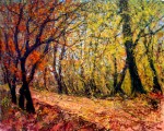 <a href='https://www.artistasdelatierra.com/obra/149959-CAMINO-DEL-BANDURRIA.html'>CAMINO DEL BANDURRIA » MARCELO RAUL VASCON<br />+ más información</a>