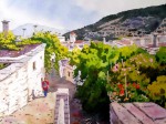 <a href='https://www.artistasdelatierra.com/obra/150608-Vista-parcial-de-Capileira---Granada.html'>Vista parcial de Capileira - Granada » Francisco Herrera<br />+ más información</a>