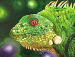 <a href='https://www.artistasdelatierra.com/obra/153658-Iguana.html'>Iguana » Idelmar Pérez<br />+ más información</a>