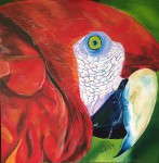 <a href='https://www.artistasdelatierra.com/obra/153729-Guacamaya.html'>Guacamaya » Idelmar Pérez<br />+ más información</a>