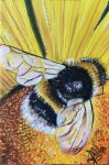 <a href='https://www.artistasdelatierra.com/obra/154741-Abeja.html'>Abeja » Idelmar Pérez<br />+ más información</a>