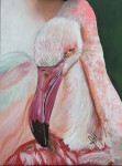 <a href='https://www.artistasdelatierra.com/obra/154742-Flamingo.html'>Flamingo » Idelmar Pérez<br />+ más información</a>