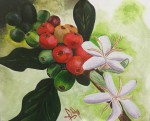 <a href='https://www.artistasdelatierra.com/obra/154938-Frutos-del-caf%C3%A9.html'>Frutos del café » Idelmar Pérez<br />+ más información</a>