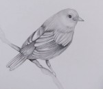 <a href='https://www.artistasdelatierra.com/obra/155948-Estudio-de-ave.html'>Estudio de ave » JOSE ESTRADA<br />+ más información</a>