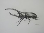 <a href='https://www.artistasdelatierra.com/obra/155976-Escarabajo.html'>Escarabajo » JOSE ESTRADA<br />+ más información</a>