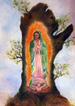 <a href='https://www.artistasdelatierra.com/obra/158200-Virgen-de-Guadalupe.html'>Virgen de Guadalupe » Alberto Thirion<br />+ más información</a>