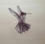 <a href='https://www.artistasdelatierra.com/obra/159451-COLIBRI.html'>COLIBRI » Janaab  Canales <br />+ más información</a>