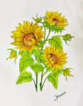 <a href='https://www.artistasdelatierra.com/obra/161434-Sunflower-001.html'>Sunflower_001 &raquo; Jose Moises Denova Perez<br />+ más información</a>
