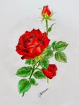 <a href='https://www.artistasdelatierra.com/obra/161435-Rose-002.html'>Rose_002 &raquo; Jose Moises Denova Perez<br />+ más información</a>
