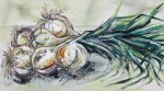 <a href='https://www.artistasdelatierra.com/obra/16-CEBOLLAS.html'>CEBOLLAS » Minú Campmany<br />+ más información</a>