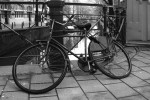 <a href='https://www.artistasdelatierra.com/obra/2039-retrato-de-una-bicicleta1.html'>retrato de una bicicleta1 » Carlos Salvador<br />+ más información</a>
