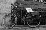 <a href='https://www.artistasdelatierra.com/obra/2257-retrato-de-una-bicicleta7.html'>retrato de una bicicleta7 » Carlos Salvador<br />+ más información</a>