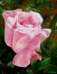 <a href='https://www.artistasdelatierra.com/obra/78683-rosa.html'>rosa » Elvira  Ramos Cimas<br />+ Más información</a>